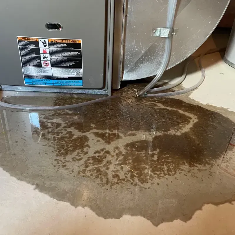 Appliance Leak Cleanup in Globe, AZ